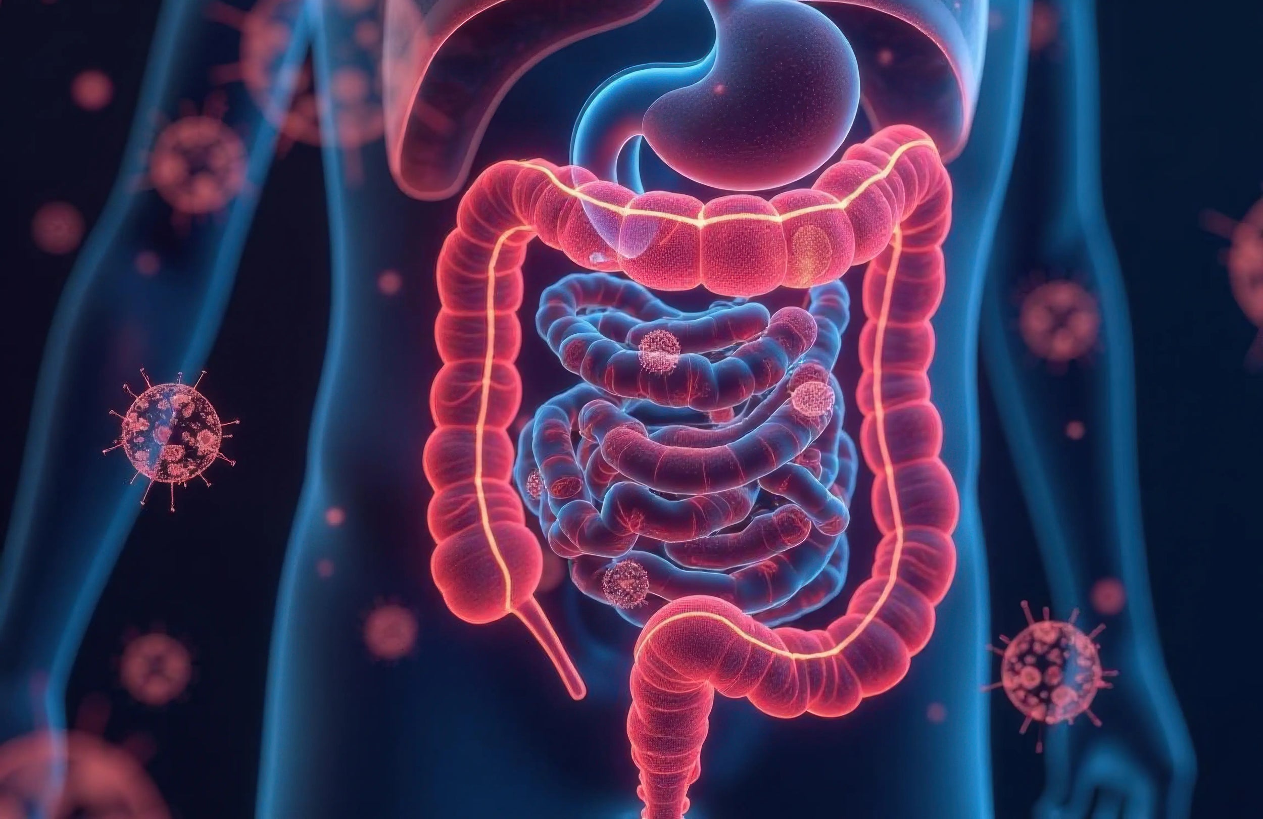 Darmreinigung – So kannst du deinen Darm natürlich reinigen