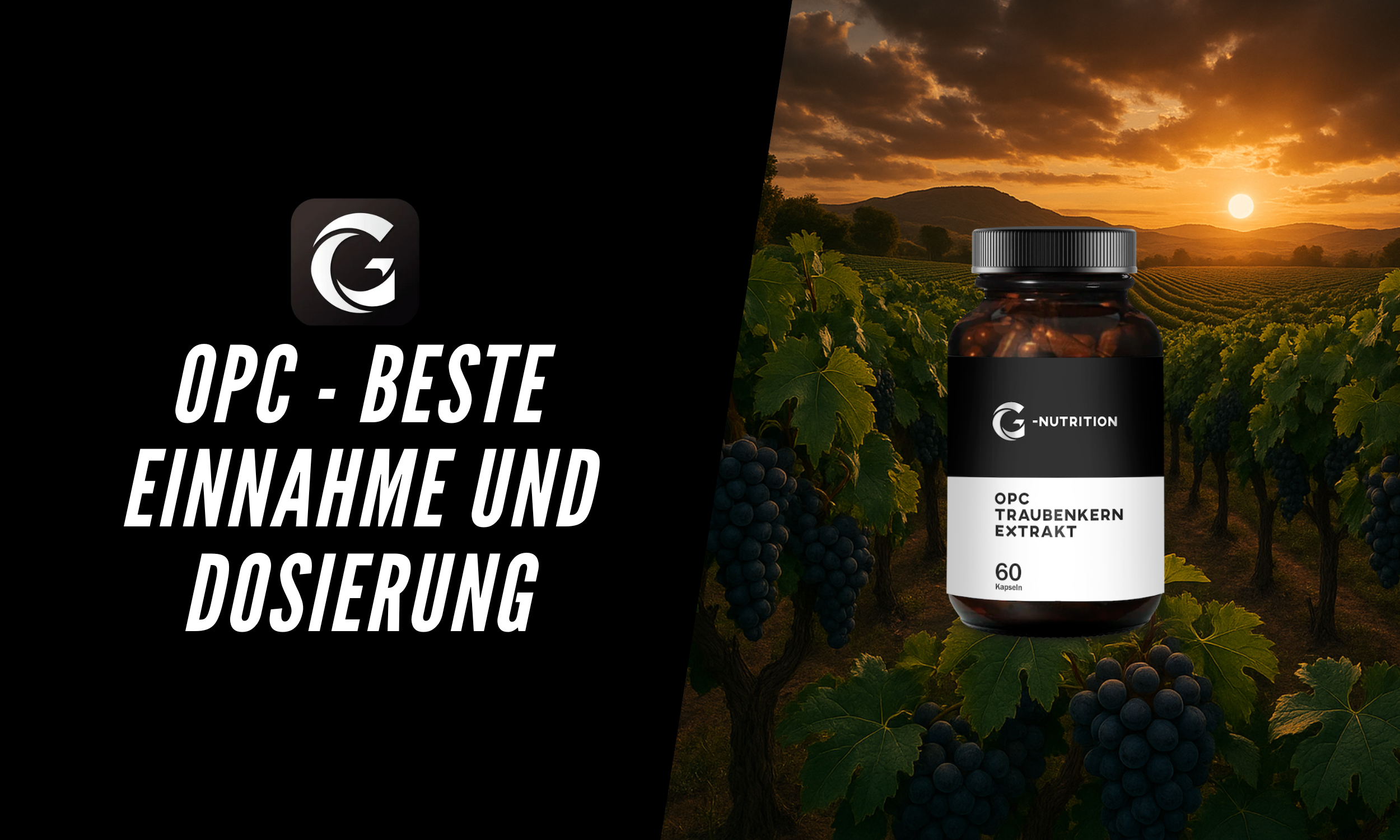 OPC Einnahme & beste Dosierung im Alltag