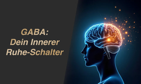 GABA Wirkung auf Schlaf, Psyche und Stress (Studien und Dosierung)