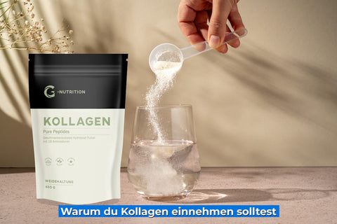 Kollagen Einnahme und Dosierung