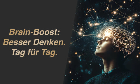 gehirnlesitung-steigern.png