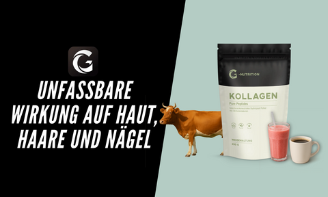 Kollagen Pulver Wirkung auf Haut, Gelenke & Schönheit von innen
