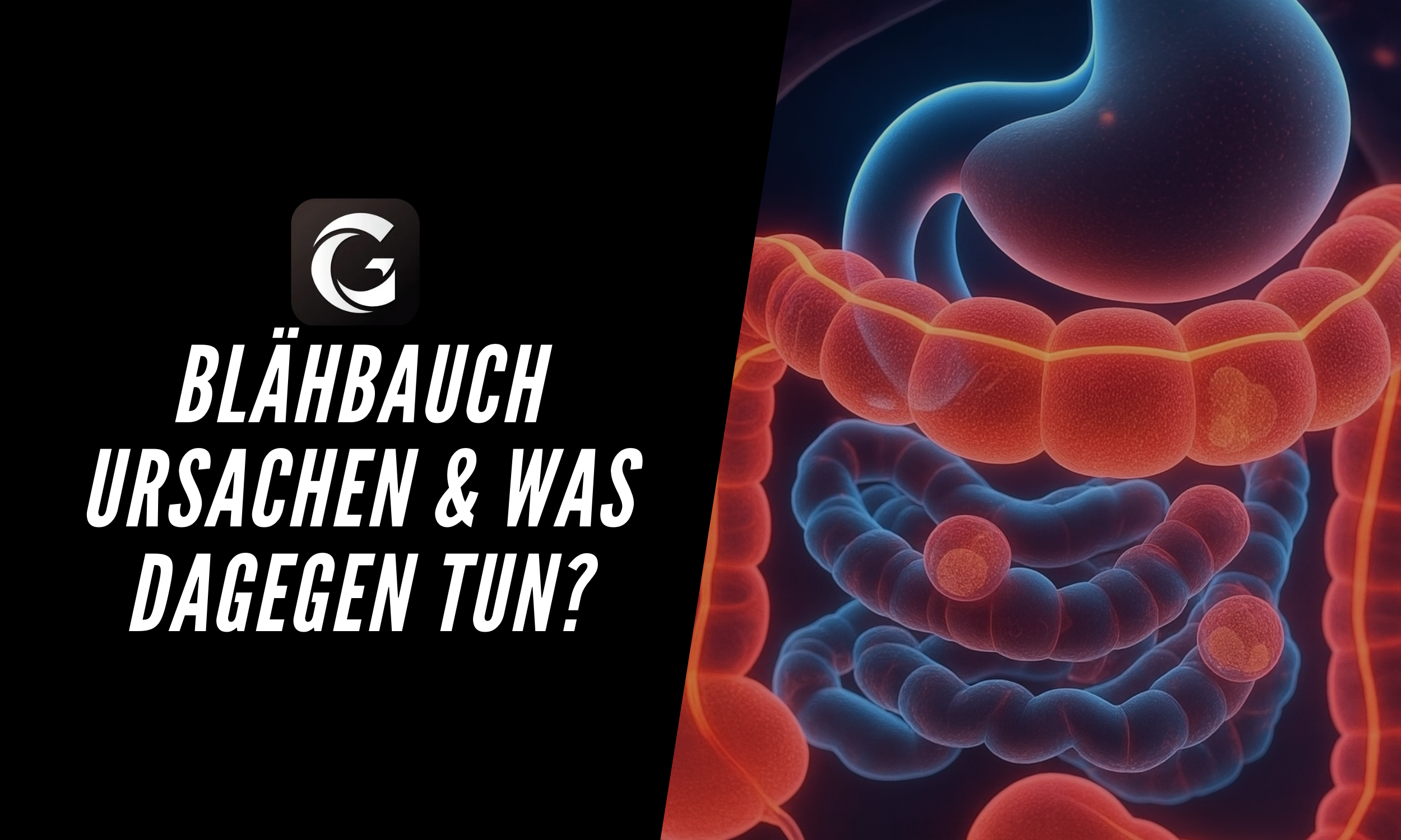 Blähbauch Ursachen und was du dagegen tun kannst