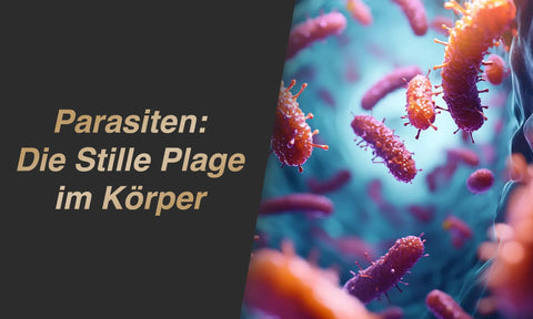 Parasiten-loswerden.png