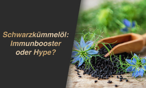 Schwarzkümmelöl Wirkung auf das Immunsystem (inkl. Studien)